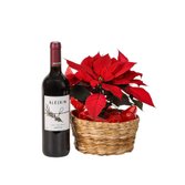 Arranjo Natal Poinsettia com Vinho