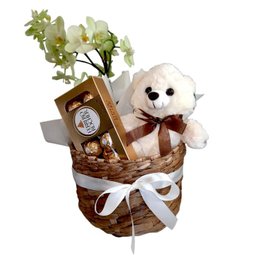 Imagem de Cesta Orquídea, Bombons e Urso de Pelúcia