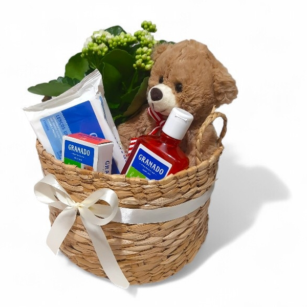 Cesta Maternidade Bebê e Ursinho Carinhoso