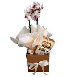 Imagem de Linda Orquídea mais Caixa Bombons 