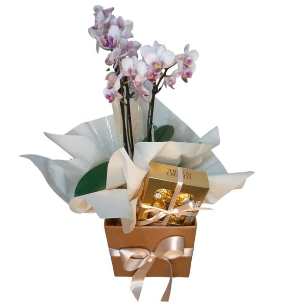 Linda Orquídea mais Caixa Bombons 