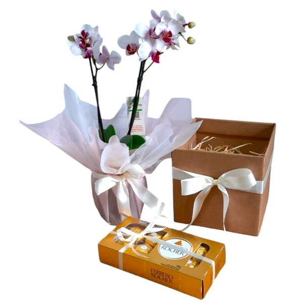 Linda Orquídea mais Caixa Bombons 