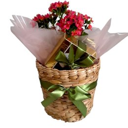 Imagem de Cesta Mimo e Bombons