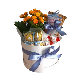 Imagem de Cesta Box Ilumi com Chocolates