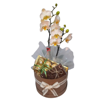Box Cesta Naturette com Orquídea e Chocolates