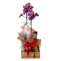 Imagem de Cesta Café da Manhã ou Tarde Petit Orquídea