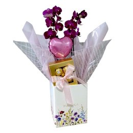 Imagem de Cesta Orquídea e Bombons Florescer 