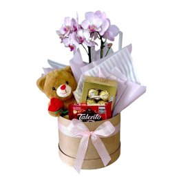 Imagem de Cesta Suzy Chocolates, Orquídea e Pelúcia