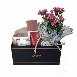 Imagem de Caixa Flores, Chocolate e Loção