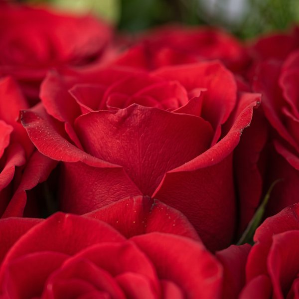 Cesta de Chocolate com Rosas Sedução