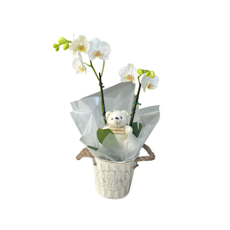 Imagem de Orquídea Com Chaveiro de Pelúcia 