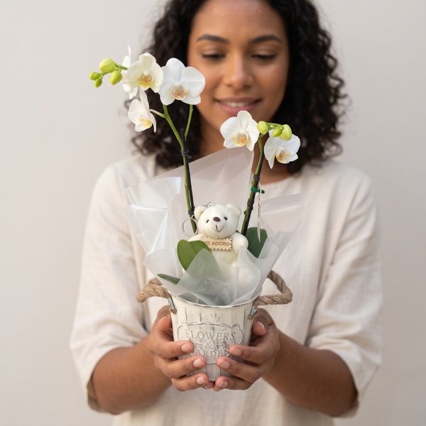 Orquídea Com Chaveiro de Pelúcia 