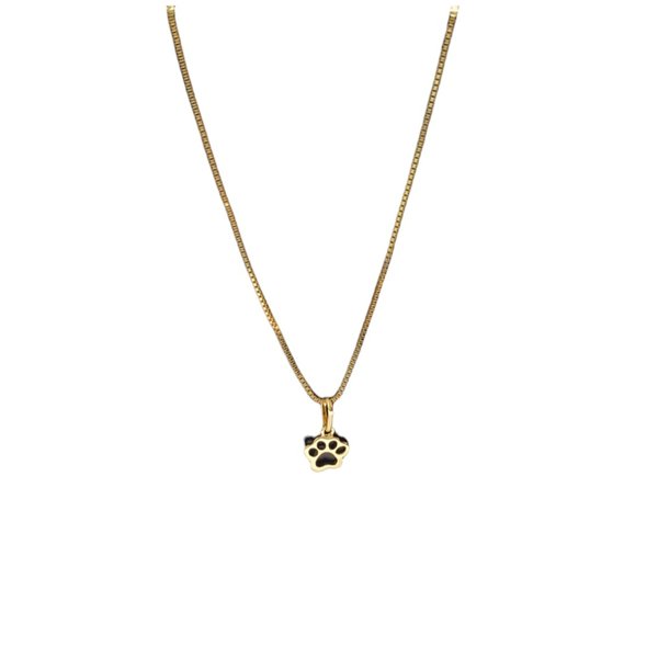 Conjunto Pet Lover