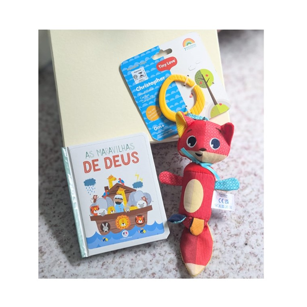 Caixa Maternidade Brinquedo
