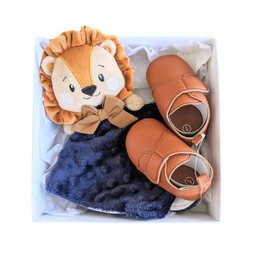 Imagem de Caixa Maternidade Leãozinho