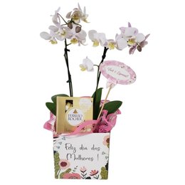 Imagem de Cachepot Linda Mulher 