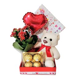 Imagem de Caixa Urso Mimoso