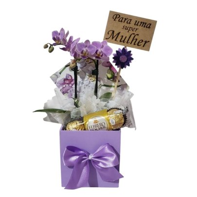 Mini Orquíedea Encanto