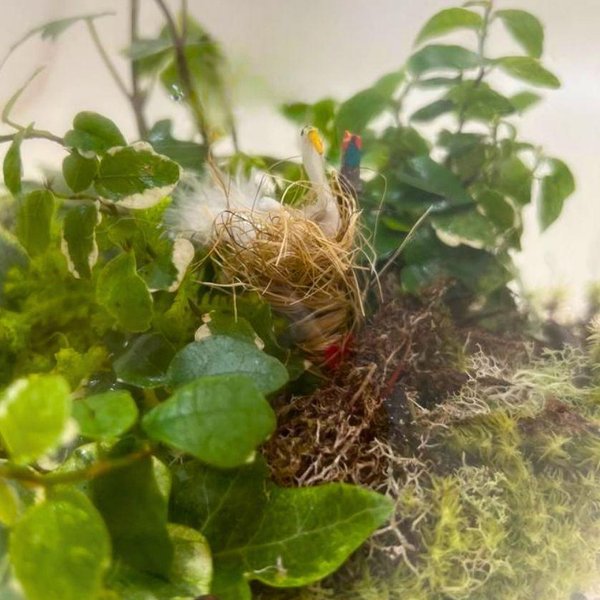 Terrário Com Miniatura  