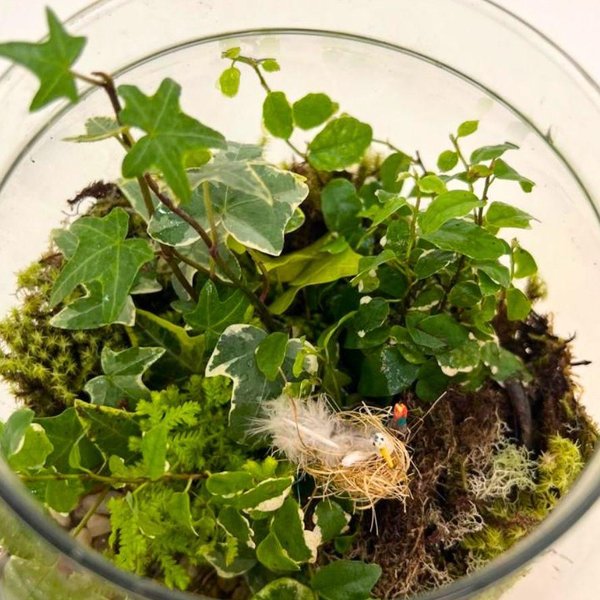 Terrário Com Miniatura  