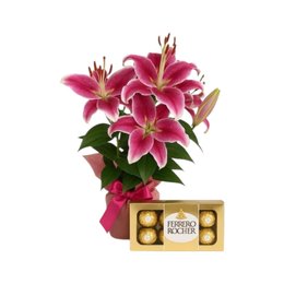 Imagem de Lírios Cor de Rosa Plantados e Ferrero
