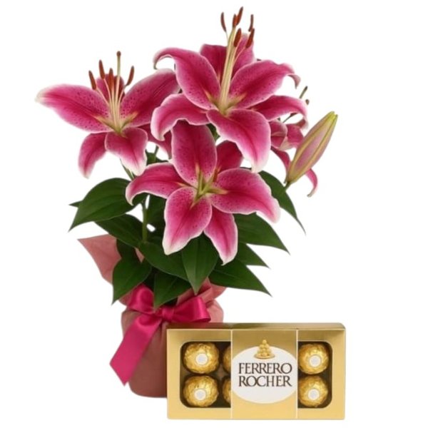 Lírios Cor de Rosa Plantados e Ferrero