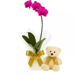 Imagem de Encanto de Orquídea com Ursinho