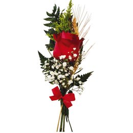 Imagem de Solitária Rosa