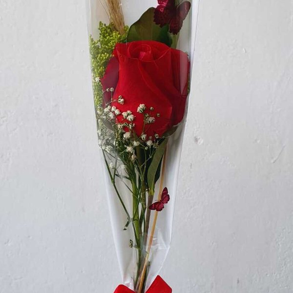 Solitária Rosa