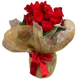 Imagem de Begonia Vermelha para Presente