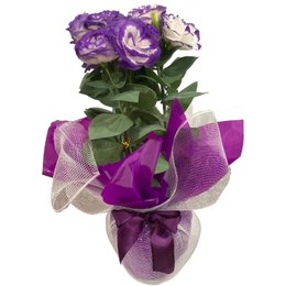 Imagem de Lisianthus