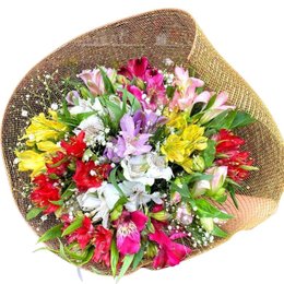 Imagem de Buquê Jardim Secreto de Astromélias