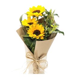 Imagem de Amor em Pétalas