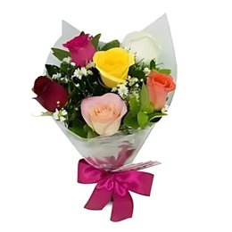 Imagem de Jardim do Afeto