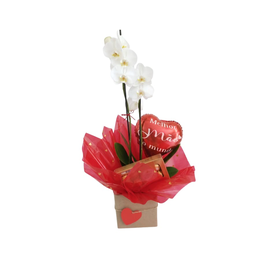 Imagem de Combo Elegância Orquídea & Ferrero Rocher