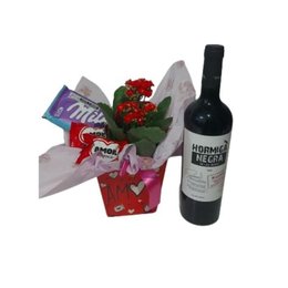 Imagem de Kit Henamorado