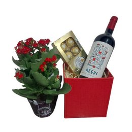 Imagem de Kit Flor do Dia