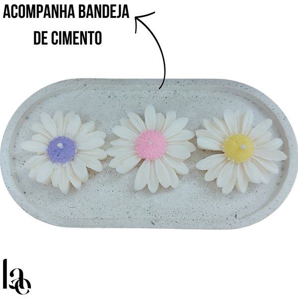 Box Primavera