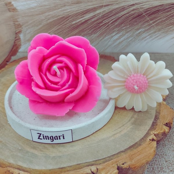Box Flores do Campo