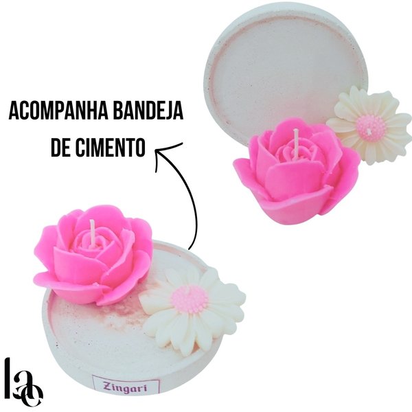 Box Flores do Campo