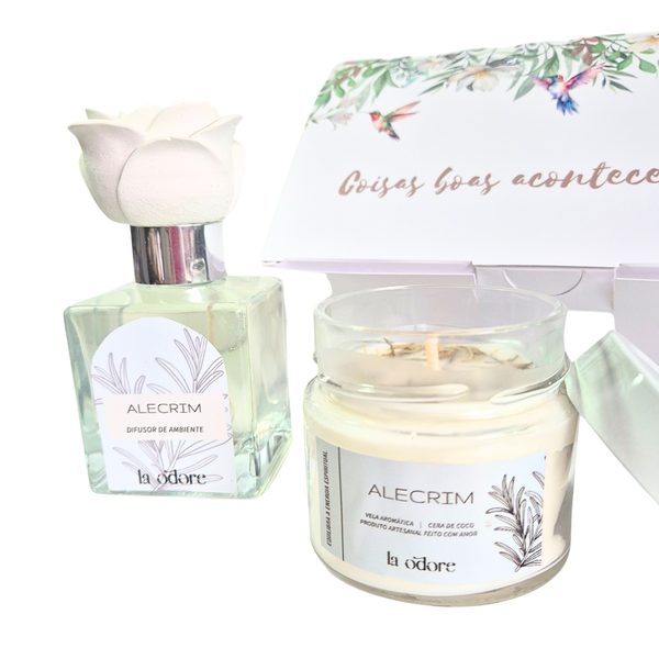 Box Ambiente
