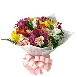 Imagem de Buquê De Astromélias Colorir