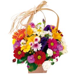 Imagem de Cesta De Flores Do Campo Alegria 