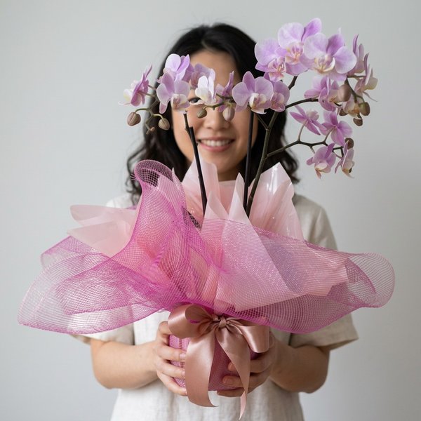 Orquídea Elegante Com Tela Rosa