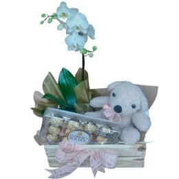 Imagem de Arranjo com Orquidea, Pelúcia e Chocolate