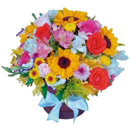 Imagem de Big Box Parabéns Para Você