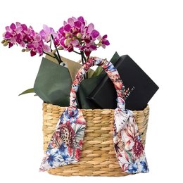 Imagem de Kit Mimos Twilly Scarf Me, Orquídea na Sacola de Palha