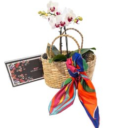 Imagem de Kit Mimos Lenço Scarf Me, Orquídea e Sacola de Palha 
