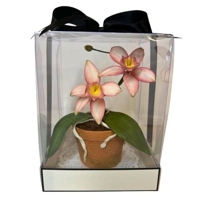 Vaso De Chocolate Flor Orquídea Rosa