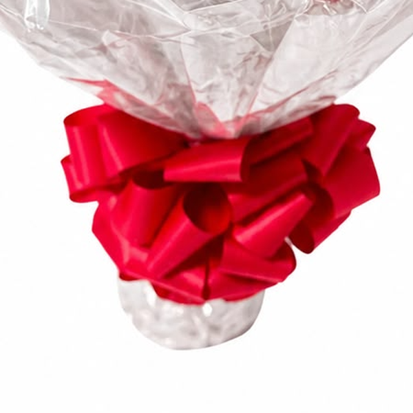 Buquê Romântico 20 Rosas